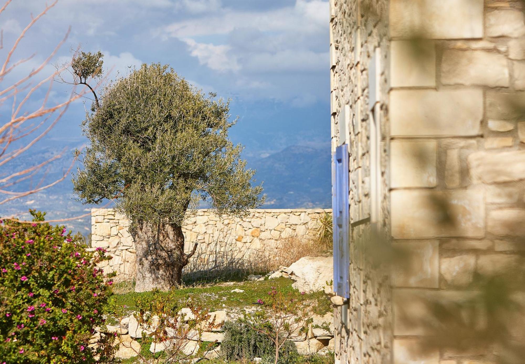 Orelia Cretan Deluxe Apartments Kamilari Zewnętrze zdjęcie