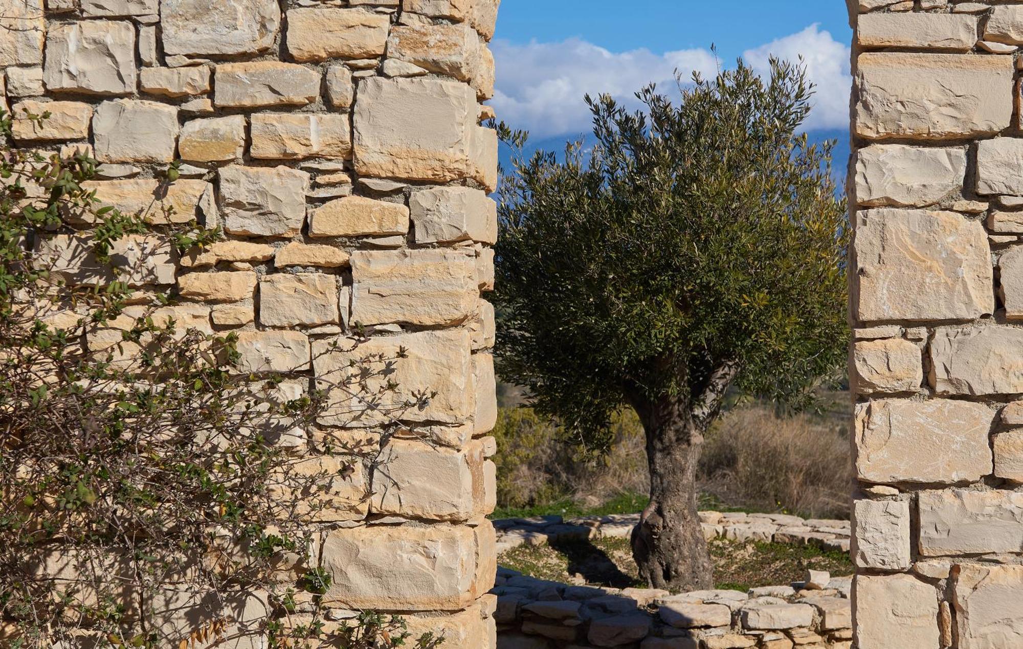 Orelia Cretan Deluxe Apartments Kamilari Zewnętrze zdjęcie